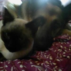 Meet your Posher, Patty